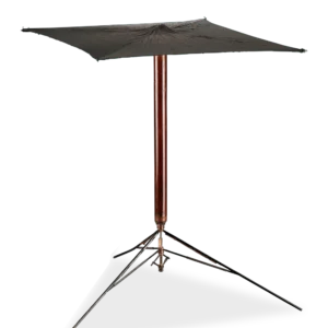 English Magician's Table Cane