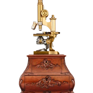 Leitz Brass Compound Microscope